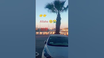 allaha🥲🥲 #عبدالرحمن_مسعد #عبدالرحمن_مسعد_تلاوة_جديدة #shots #allahakbar