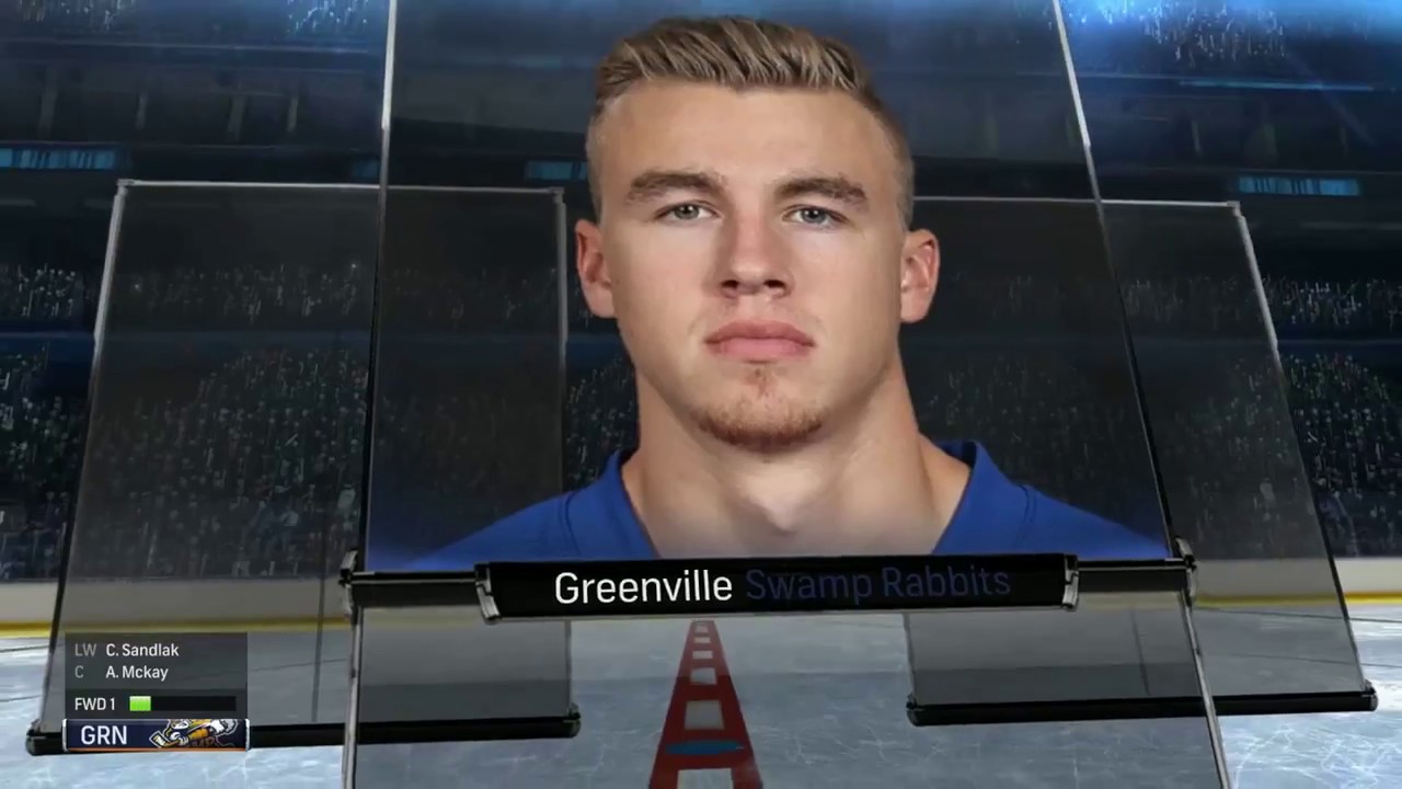 NHL 18 Season Mode: Toledo Walleye vs Greenville Swamp Rabbits