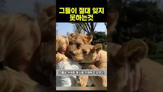 그들이 절대 잊지 못하는것