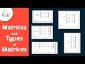 Matrices & Types: Definitions & Examples π