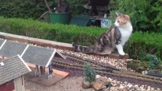 Cats and Trains mal anders Gartenbahn LGB Jens Handro