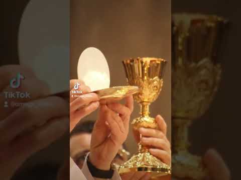 Vidéo: Description et photos de la cathédrale catholique de Dieu le Père Miséricordieux - Ukraine: Zaporozhye