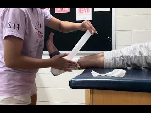 Italya Lona 2025 All State Video Application