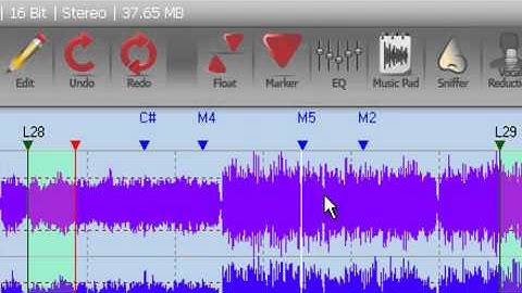 Song Surgeon Version 3 - Markers