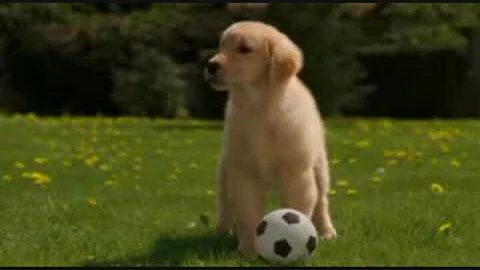 Snow Buddies~ lean on me