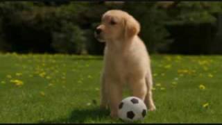 Snow Buddies Lean On Me