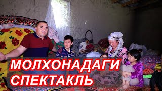 картинка: Блогерлар томонидан молхонада яратилган 