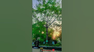 mgkvp University 🤍👀 2K25 !!status video !! beautiful university !!video !! trandingvideo