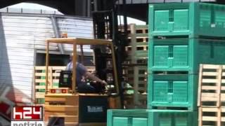 Fondi-Operatori Del Mof, Non Siamo Tutti Mafiosi