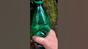 Birch sap is the clear, slightly sweet liquid that flows through the inner bark of birch trees