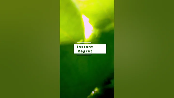 Durability TEST: Crash no. 3 #DJI #avata #fpv