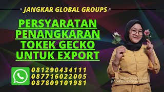 SYARATPENANGKARAN TOKEK GECKO UNTUK EXPORT