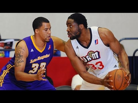 Ike Diogu 2013-14 NBA D-League Season Highlights