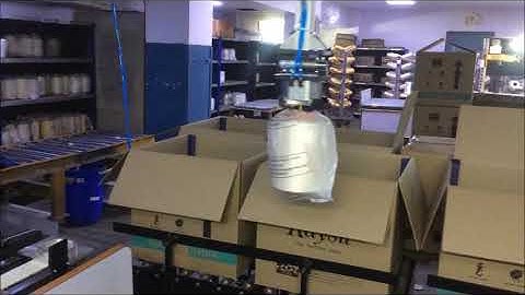 cartesian robot - gantry robot palletizer , gantry for packaging solution , packaging automation.
