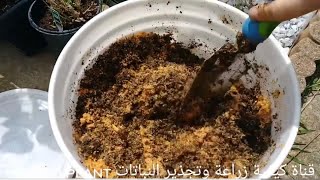 نتيجه رائعة صنعت كومبوست بوقت قصير لتغذية نباتاتي  how to make compost at home (100% Fast & easy)