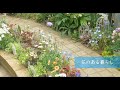 ガーデニングと暮らし｜おしゃれに雑草対策｜素敵なペチュニアを植える｜花壇の植え替え｜可愛い家庭菜園作り｜いちごのシフォンケーキ