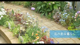 ガーデニングと暮らし｜おしゃれに雑草対策｜素敵なペチュニアを植える｜花壇の植え替え｜可愛い家庭菜園作り｜いちごのシフォンケーキ