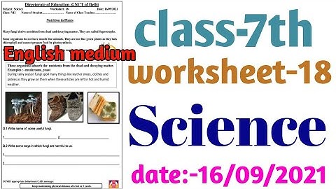 Science worksheet 18 class 7 (16/9/21) ENGLISH medium/worksheet 18 science class7/class7 science