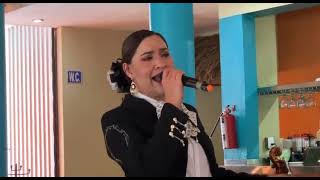 MARIACHI FIESTA EN JALISCO DE EL GRULLO - Video 3