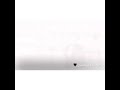 حماقي حبه صور حالات واتس 😍