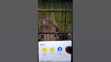 I Fooled Everyone With This Illusion#music #video