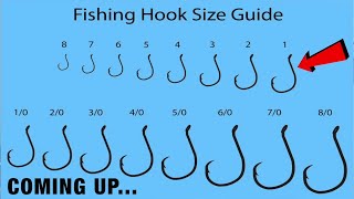 FISHING HOOKS EXPLAINED! HOW TO CHOOSE The BEST FISHING HOOKS For