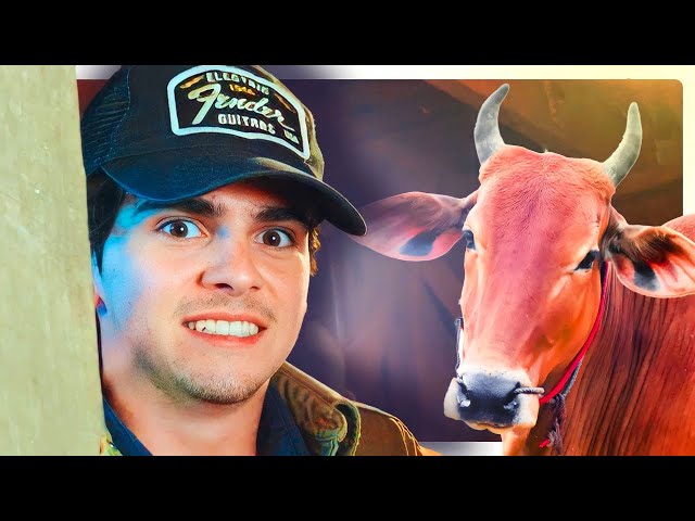 A Day In My Life at The Farm | Jack Dylan Grazer