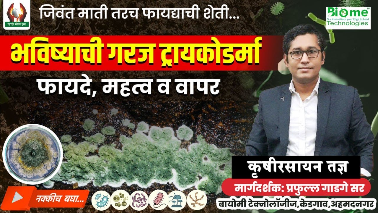 ट्रायकोडर्मा भविष्याची गरज ! त्याचे फायदे, महत्व व वापर