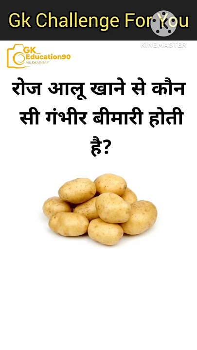 Ssc gk | Top 30 gk questions 🤔📚 | Gk in hindi | Gk Quiz | #gk#gkfacts#gkquiz#gkhindi#G.K_education90