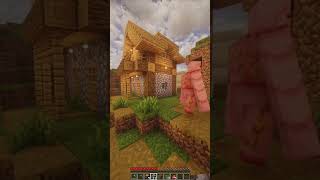Minecraft But We Had Realistic physics
