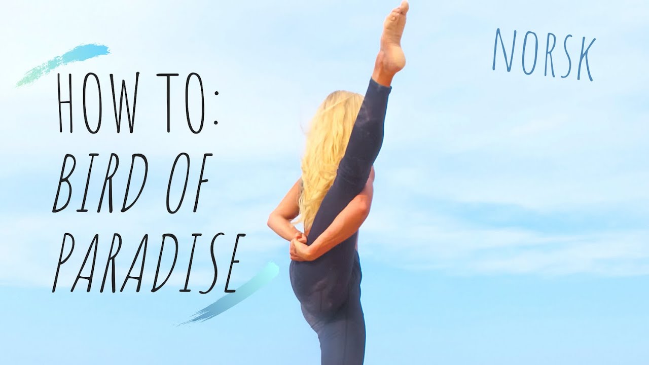 12+ Inverted Bird Of Paradise Yoga Yoga Poses