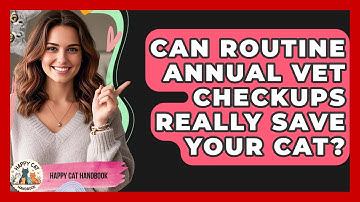 Can Routine Annual Vet Checkups Really Save Your Cat? - Happy Cat Handbook