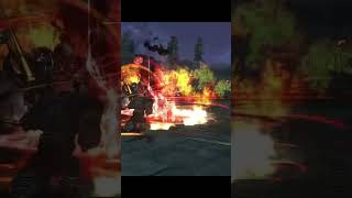 ЧЕМ ХОРОШ ДУЭЛИСТ в Lineage 2 Essence