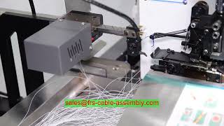 Cable Assembly Factory Custom Micro Coaxial Cable I-Pex 20496-040T-30 20496-R40T-30 20496-R40T-40 20