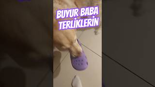 Babasına Terliklerini Getirir Oscar