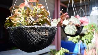 Nikon D5300 AF-P 18-55mm VR lense kit AutoFOCUS noise test 1/3