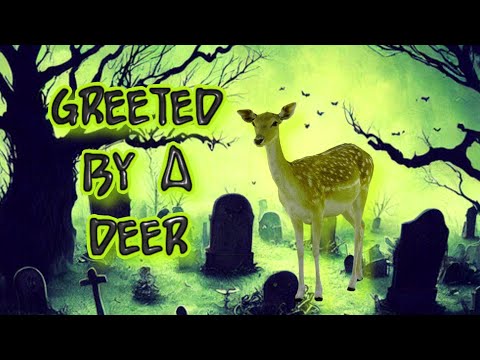 GREETED BY A DEER.BUTTON BUCKS.RUTT SEASON.CEMETERY.PARANORMAL RESEARCH