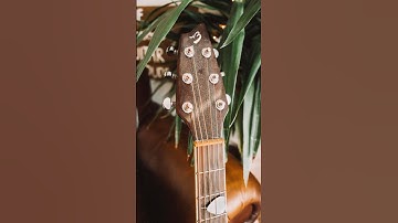 If your guitar strings looks like this…it’s time to change them