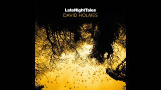 David Holmes - LateNightTales (2016) (Synth-Pop, ambient) Net Worth