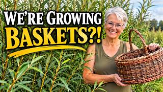 We’re Growing Our Own Basket Willow! 🌿 | From Willow Patch to Baskets