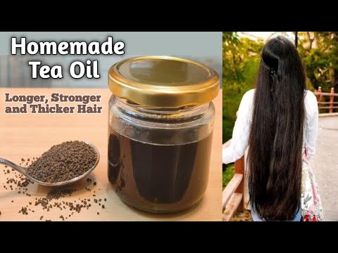 वीडियो: चाय के पेड़ का तेल कैसे बनाएं: 14 कदम (चित्रों के साथ)