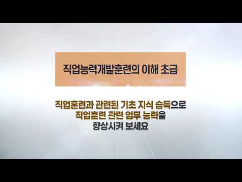 [STEP] 직업능력개발훈련의 이해(초급)