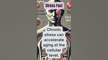How Chronic Stress Speeds Up Aging at the Cellular Level
