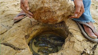 Amazing Catching 2021 | Catching Catfish In Dry Season Find Fish in Underground Secret Hole #3