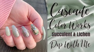 First Impressions | Cascade Color Works | Succulent / Lichen