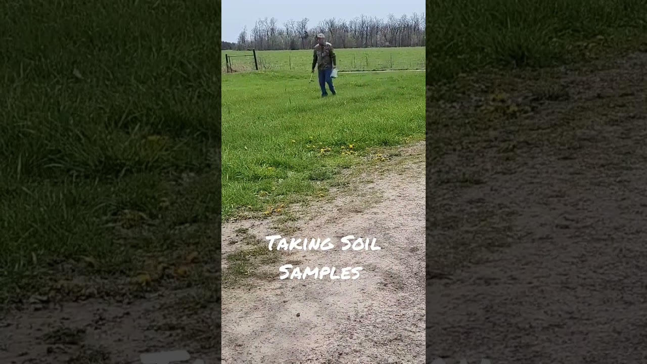 Taking Soil Samples Around the Yard. 