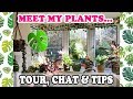 Plants, Pots, Chat and Tips! 🌿🌸🌵
