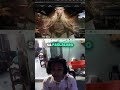 Let us celebrate the ArcheAge War 3 anniversary!