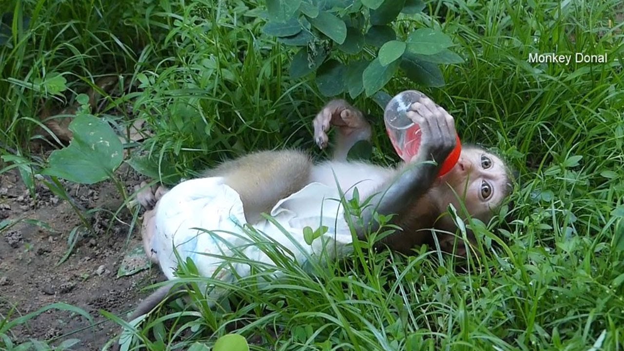 Oh God! Why Donal Not Want To Get Up From The Green Grass