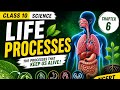 Life processes part 5